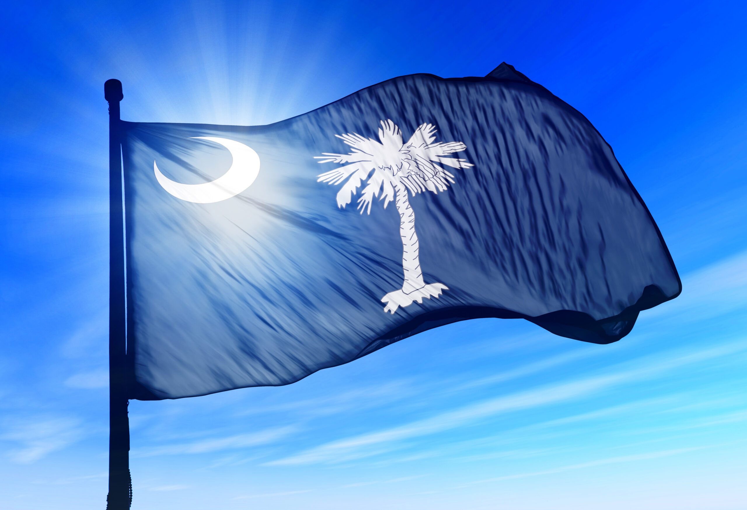 A-Cap Drops Lawsuit Against South Carolina Insurance Department, Agrees to Mediation