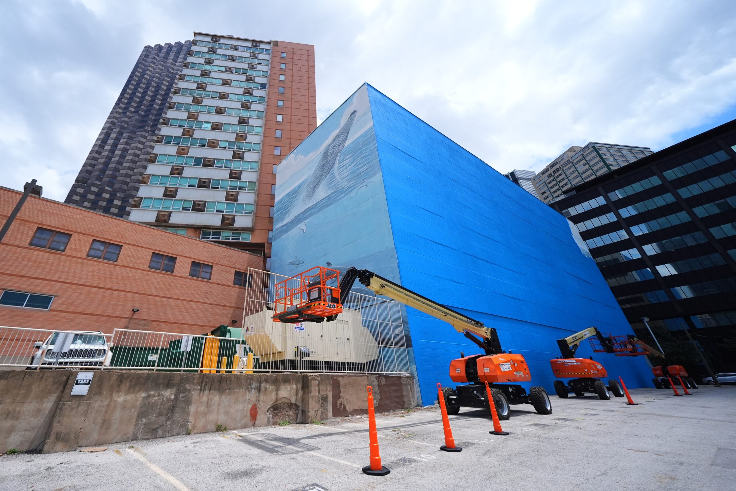 Artist Sues FIFA for $25 Million Over Painted-Over Dallas Whale Mural