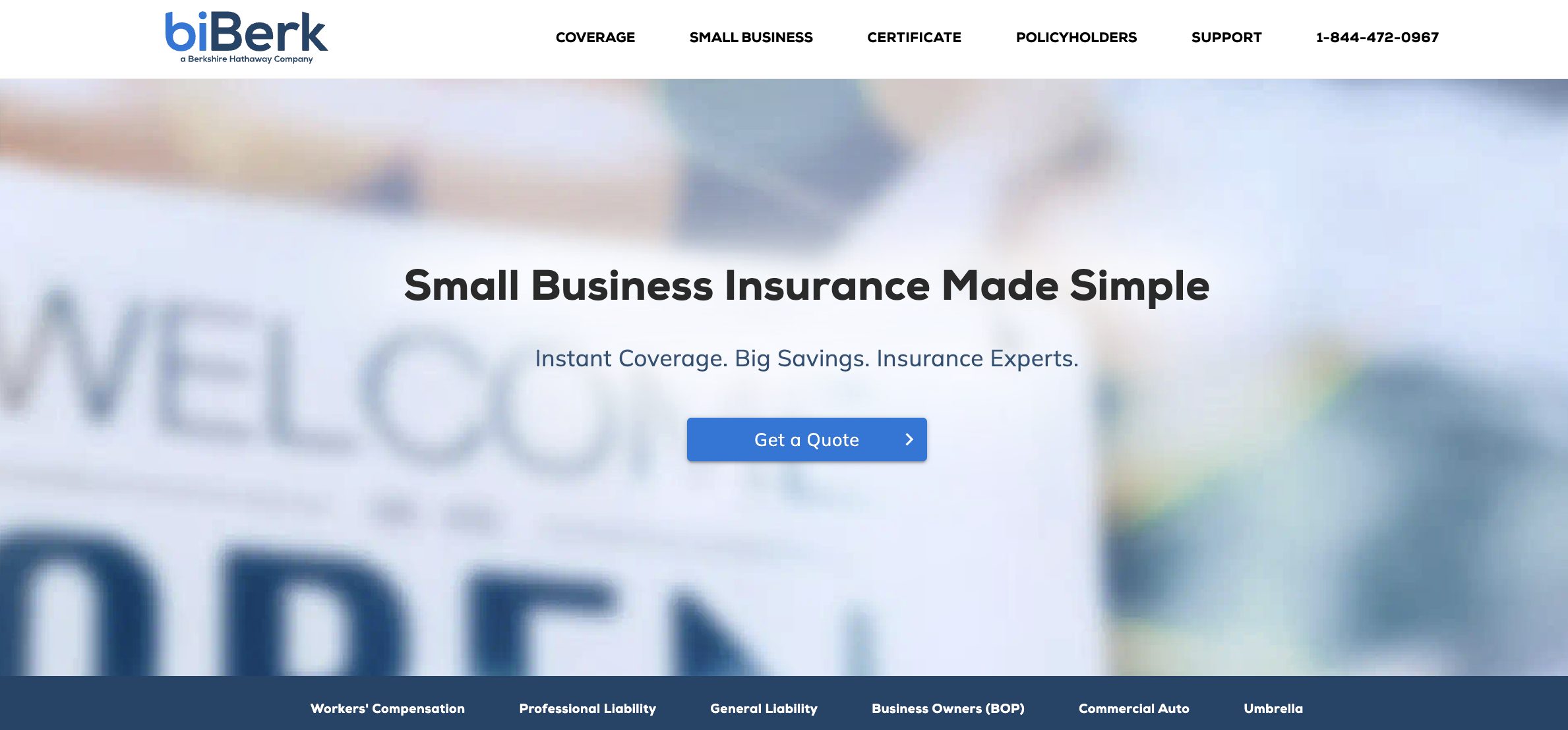 biBerk Updates Homepage, Highlights 1.7 Million Policies Sold