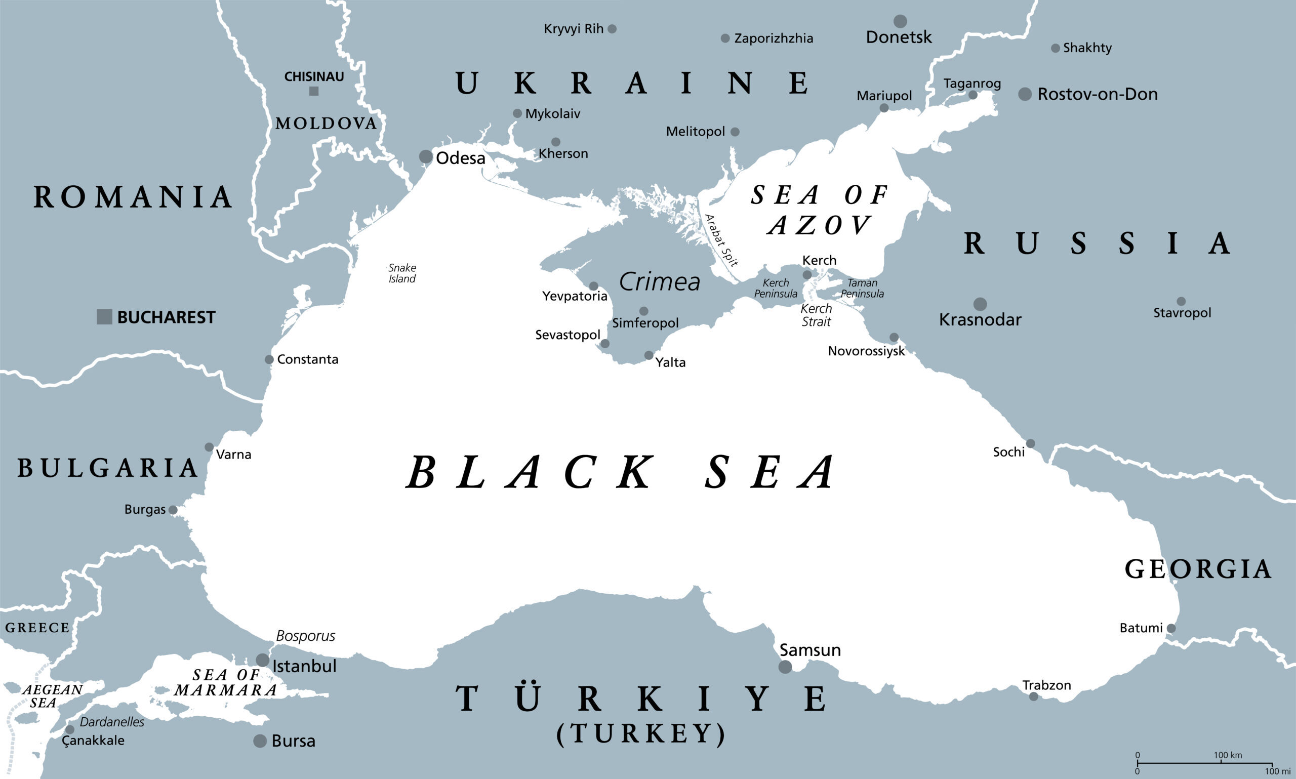 Merchant Ship Sinks in Black Sea After Apparent Strike